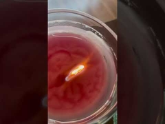 Candela in barattolo per aromaterapia con candela di soia in ceramica bianca semplice da 6 once