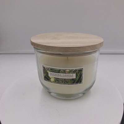 La cosa repellente della mosca dell'OEM ha sentito la candela all'aperto della citronella per il cortile