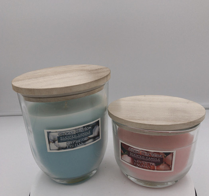 Le piccole candele casalinghe della citronella pilotano le candele repellenti dell'interno