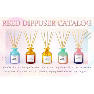 Sapore casalingo variopinto di Reed Diffuser Sea Salt dell'olio essenziale 120ml
