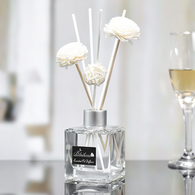 Piccolo aroma di vetro Reed Diffuser And Oil 50ml della bottiglia DPMA