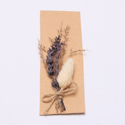 Erba secca naturale variopinta di Pampa 43*15cm per l'insieme del regalo