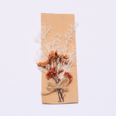 Erba secca naturale variopinta di Pampa 43*15cm per l'insieme del regalo