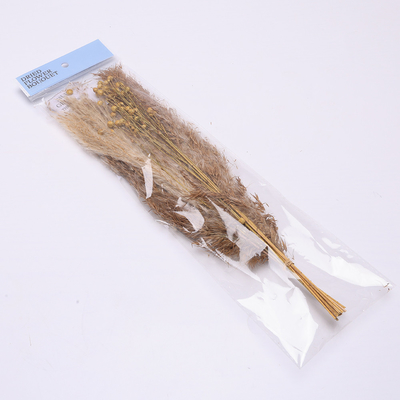 Lunghezza artificiale 35cm di disposizione dell'erba di pampa