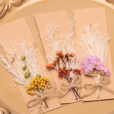 Potpourri naturali 43*15cm dell'erba secca di Pampa della borsa di Opp