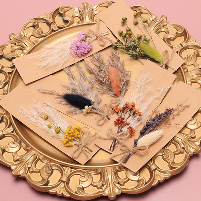 Potpourri naturali 43*15cm dell'erba secca di Pampa della borsa di Opp