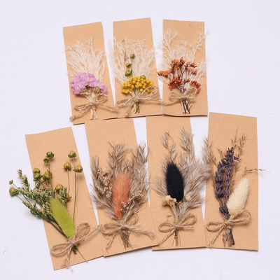 Potpourri naturali 43*15cm dell'erba secca di Pampa della borsa di Opp