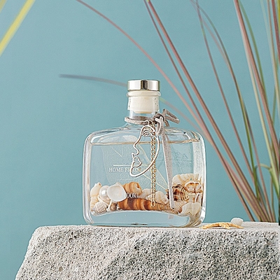 L'oceano unico del contenitore della copertura del contenitore di regalo delle bottiglie ha sentito l'olio Reed Diffuser di vetro