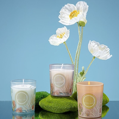 Insieme variopinto 60g 50ml del regalo di Pinecone Reed Diffuser Scented Candle Jar della festa nuziale