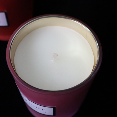 Candela 10Oz della casa dell'aroma del raccolto della soia di 100 per cento per l'aromaterapia della stazione termale