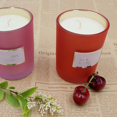 Candela 10Oz della casa dell'aroma del raccolto della soia di 100 per cento per l'aromaterapia della stazione termale