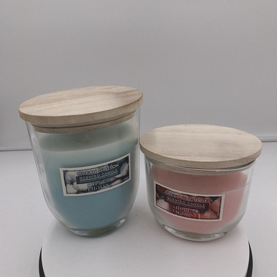 Le piccole candele casalinghe della citronella pilotano le candele repellenti dell'interno