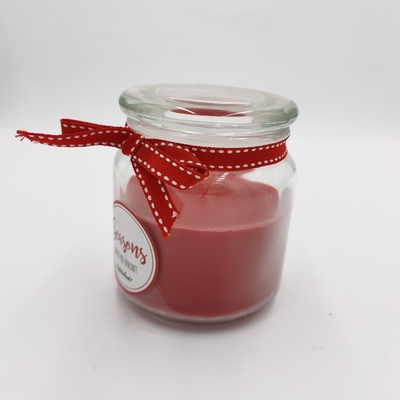 Barattolo essenziale rosso personale Mason For Christmas della luce della candela della cera paraffinica